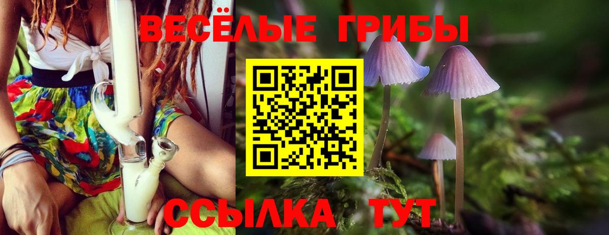 Оренбург  Псилоцибиновые грибы Magic Shrooms  Вход с VPN  Галлюциногенные грибы мухоморы 